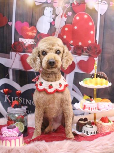 20250220ノンくん